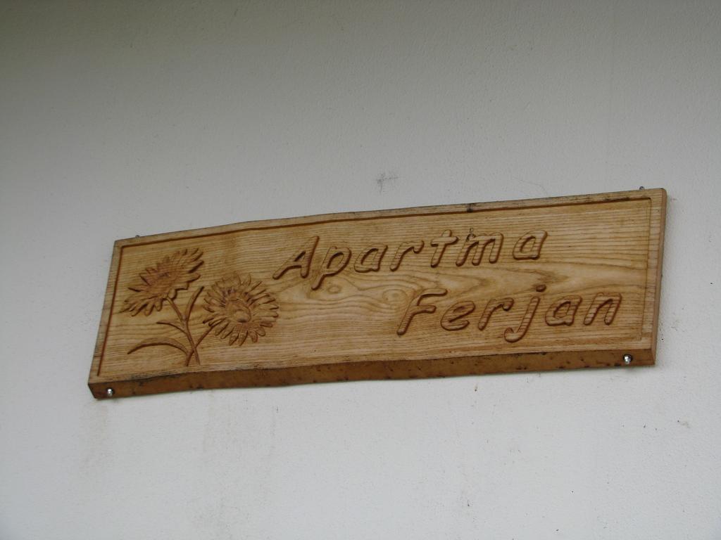 Apartma Ferjan Zaga Buitenkant foto
